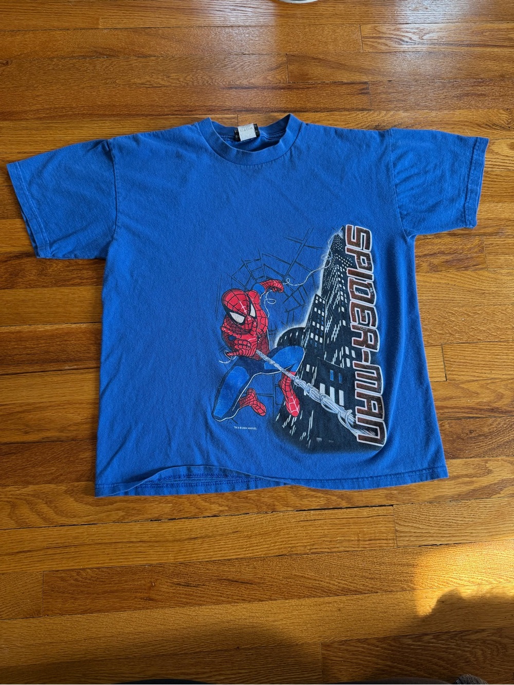 Vintage 90s Y2K Spider Man T-shirt, Marvel Comics 2004 (Small)